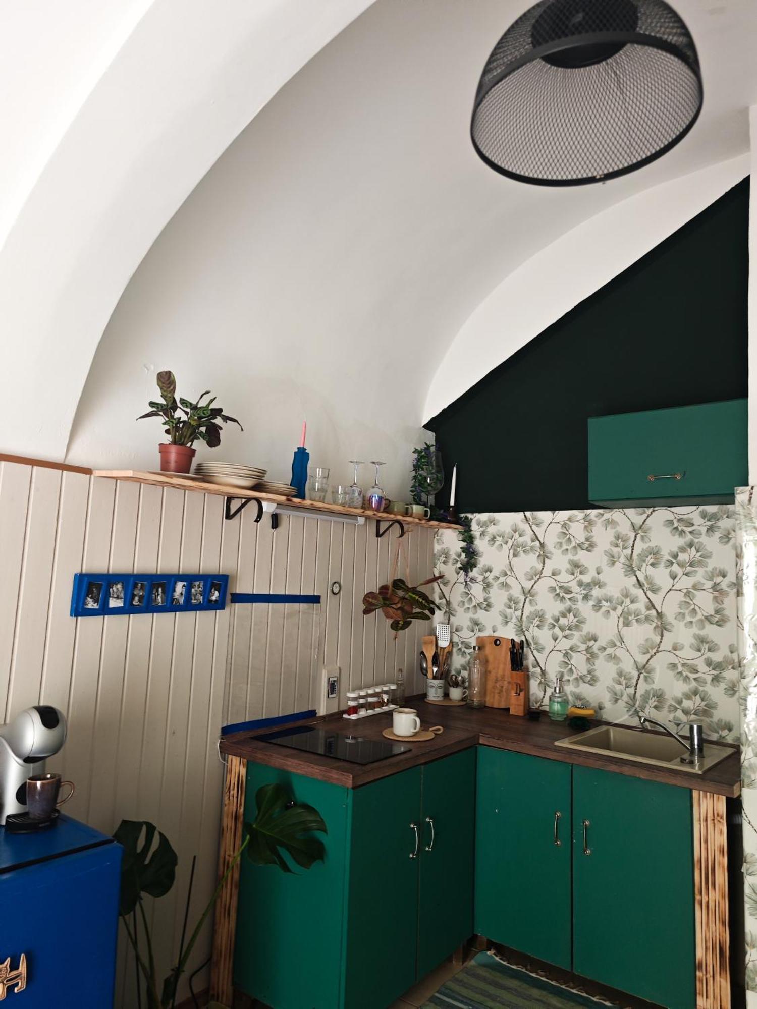Vintage Room With Garden View Bratislava Exterior photo
