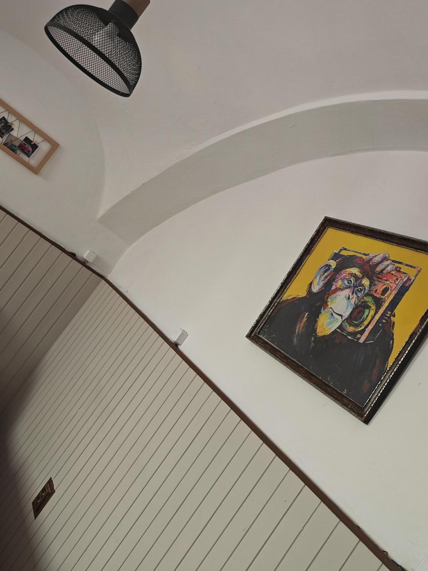 Vintage Room With Garden View Bratislava Exterior photo