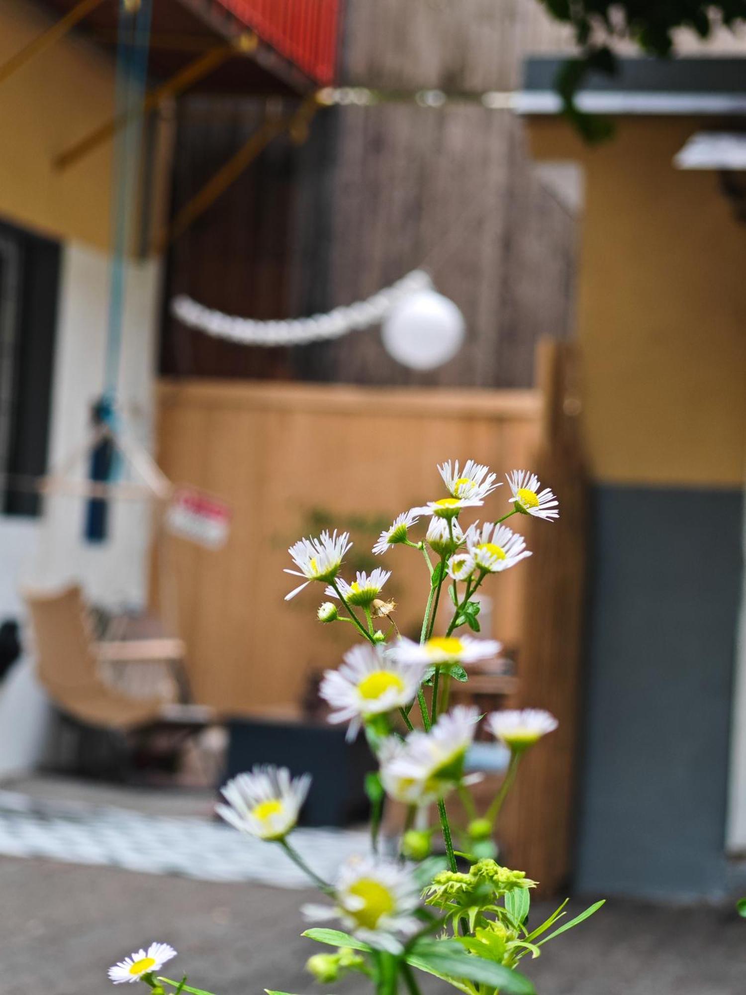 Vintage Room With Garden View Bratislava Exterior photo