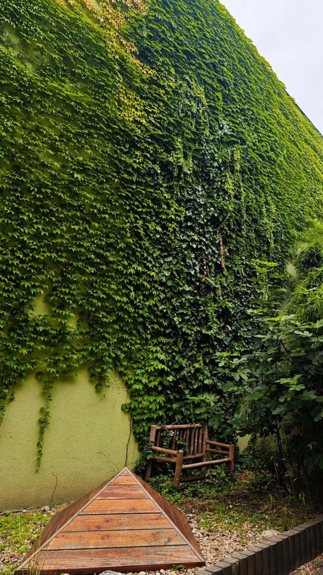 Vintage Room With Garden View Bratislava Exterior photo
